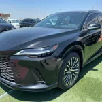 2023 LEXUS RX350 LUXURY - Thumbnail 3