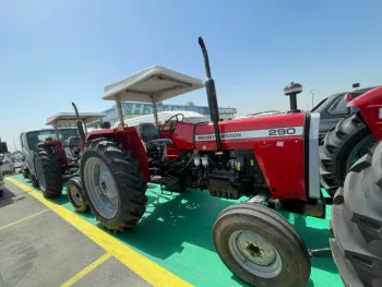 New 2022 Massey Ferguson MF290