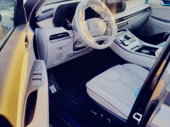 HYUNDAI PALASIDE 3.8L AUTO MATIC