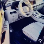 HYUNDAI PALASIDE 3.8L AUTO MATIC - Thumbnail 9