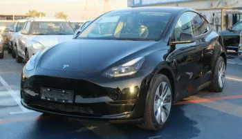 Tesla Y Series Standard Option 2022