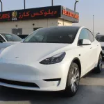2022 TESLA Model Y White Color - Thumbnail 1