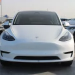 2022 TESLA Model Y White Color - Thumbnail 2