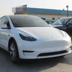 2022 TESLA Model Y White Color - Thumbnail 6