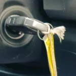KIA SELTOS 2.0L V4 PETROL BLUE 2021 - Thumbnail 13