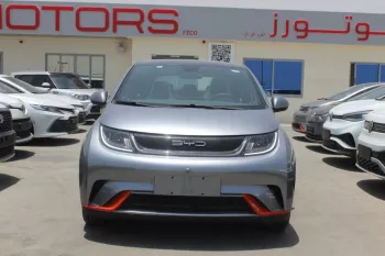 BYD Dolphine 2023 gray