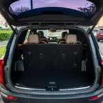 KIA Telluride 2020 Model Year Automatic transmission Black Color - Thumbnail 13