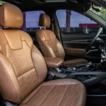 KIA Telluride 2020 Model Year Automatic transmission Black Color - Thumbnail 21