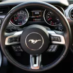 Ford Mustang Gt premium 2020 Model Year - Thumbnail 11