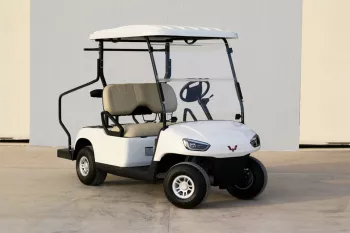 2021 Wuling Golf Car 2 Seater - White inside Brown