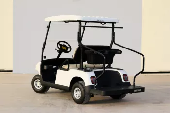 2021 Wuling Golf Car 2 Seater - White inside Brown