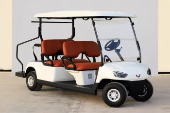 2021 Wuling Golf Car 4Seater - White inside Brown