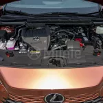 LEXUS RX 350 LUXURY 2.4L PETROL AT MY2023 – COPPER CREST - Thumbnail 29