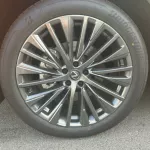 LEXUS RX350 LEXURY 2.5L HYBRID AWD 2023 MODEL YEAR GREEN - Thumbnail 6