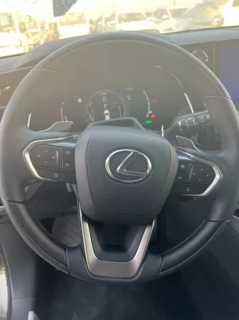 LEXUS RX350 LEXURY 2.5L HYBRID AWD 2023 MODEL YEAR GREEN