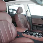 LHD - VGV U75PLUS 2.0L TURBO PETROL FWD PREMIUM - Thumbnail 14