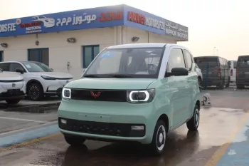 WILLING 2021 (0KM) PURE ELECTRIC CAR BRAND NEW