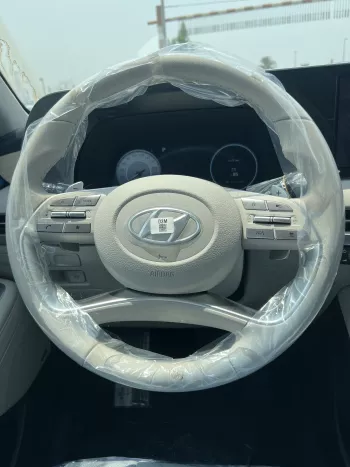 Hyundai Palisade 3.5 L 2023 model 4WD White colour
