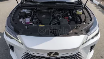 2023 LEXUS RX 350 ULTRA LUXURY 2.4L PETROL AT – WHITE