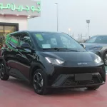 BYD Dolphine Electric Car 2023 Fly Edition Black and White Color - Thumbnail 2
