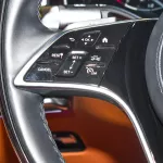 Mercedes-Benz S Class S500 2022 Model Year Gold Color - Thumbnail 19
