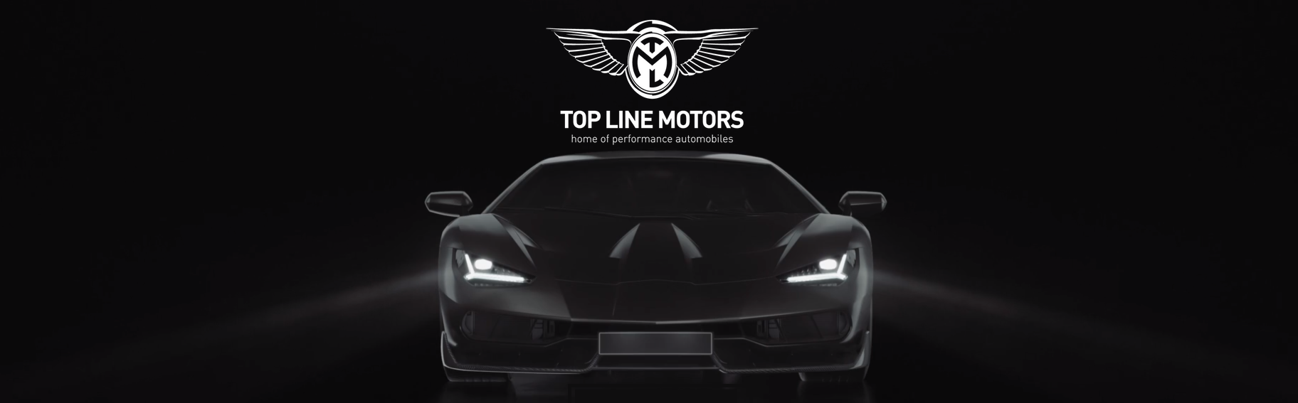 TOP LINE MOTORS LLC dealership logo