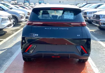 BYD SEAGULL  ELECTRIC 2023 MODEL YEAR