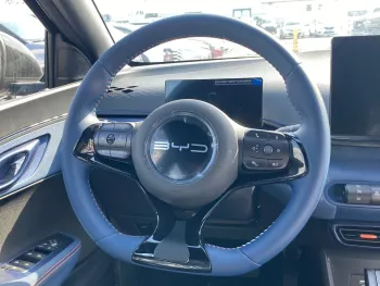 BYD SEAGULL  ELECTRIC 2023 MODEL YEAR