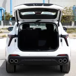 2024 Kaiyi X7 2.0 SUV 7S Limited - White inside Black - Thumbnail 7