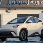 BYD SEAGULL FLY EDITION 2024 410 KM AVAILABLE QUANTITY - Thumbnail 1