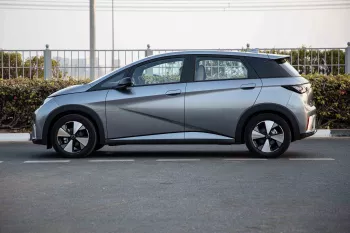 2023 BYD Dolphin Fashion Edition - Grey inside Brown