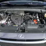 LEXUS TX 350 EXECUTIVE 2024 MODEL YEAR CLOUDBURST GREY COLOR - Thumbnail 24