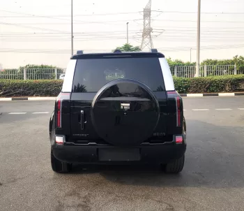 ROX 01 VIP 2025 MODEL YEAR LONG RANGE BLACK COLOR WITH WARANTY