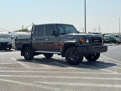 TOYOTA LAND CRUISER LC79 2025 MODEL YEAR GRAY COLOR EXTERIOR
