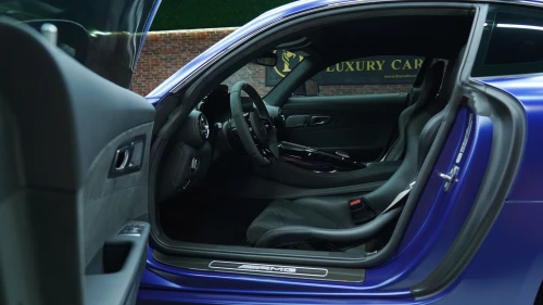 2019 Mercedes-Benz AMG GT R Pro (1 of 750): Track-Ready, Blue Exterior/ Black Interior
