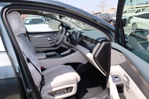 BYD Tang L Flagship Edition Fully Electric 2025 - Green - Carsooq