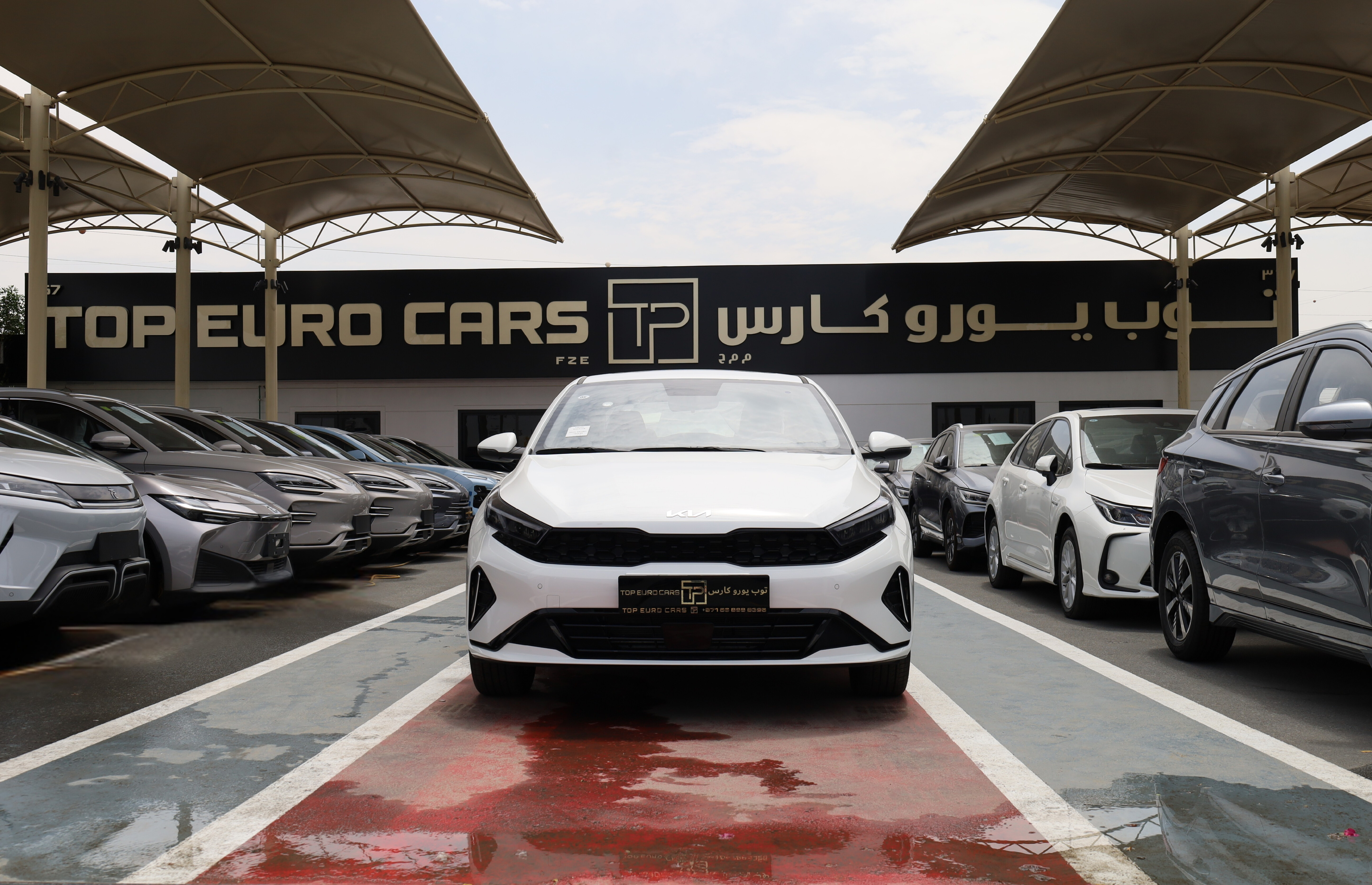Top Euro Cars dealership logo