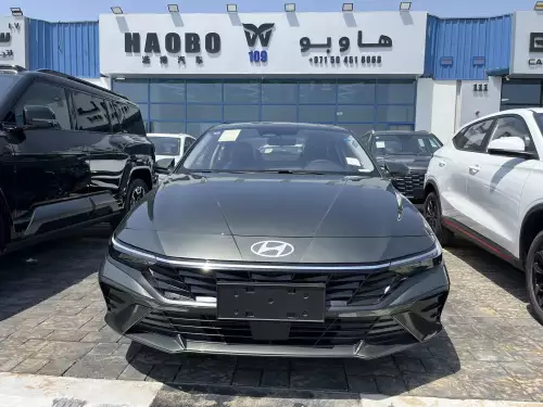 Hyundai Elantra 2.5L Petrol 2025 - Grey - Carsooq
