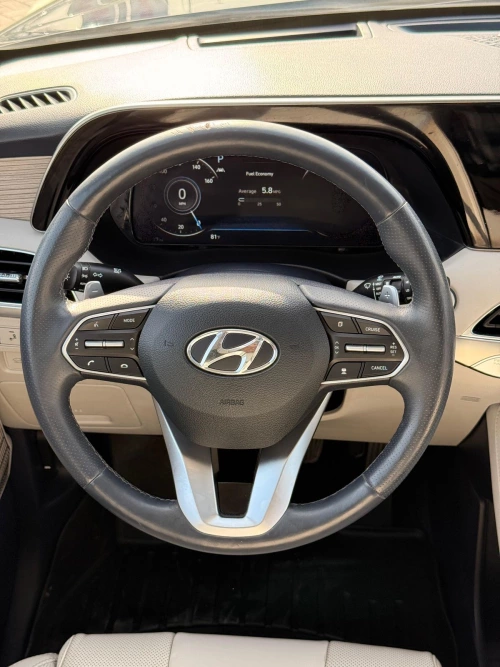 Hyundai Palisade 3.8L Petrol 2021 Model Year - Grey - Carsooq