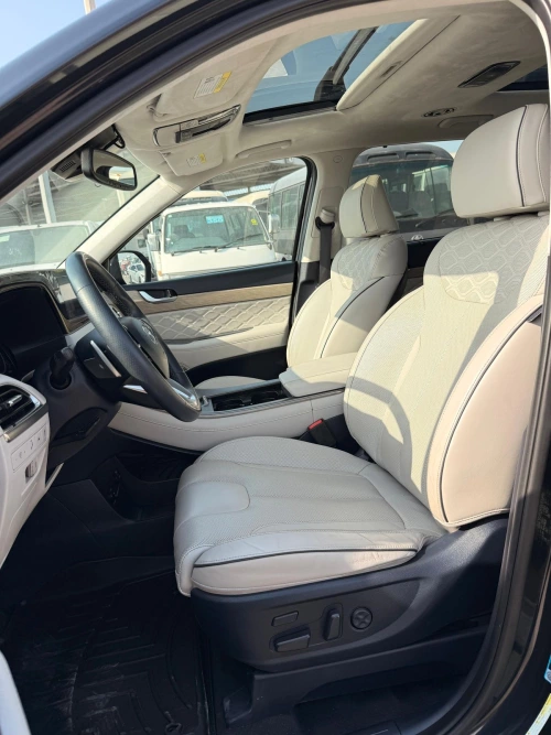 Hyundai Palisade 3.8L Petrol 2021 Model Year - Grey - Carsooq