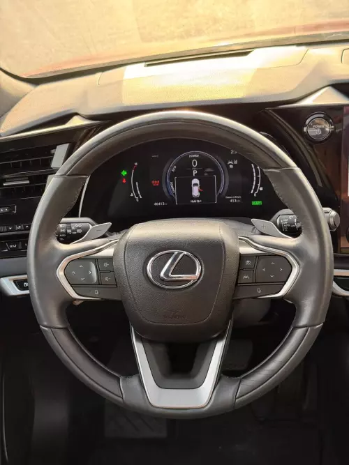 Lexus RX350H 2.5L Petrol 2024 Model Year Red Color Exterior 
