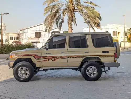 Toyota Land Cruiser Hard Top 76 Series 4.5L Diesel 2012 Model Year Beige Color Exterior 