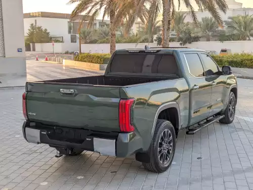 Toyota Tundra Limited 3.4L Petrol 2022 Model Year Green Color Exterior 
