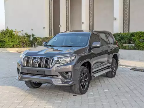 Toyota Prado VX.R 4.0L Petrol 2010 Model Year Gray Color Exterior