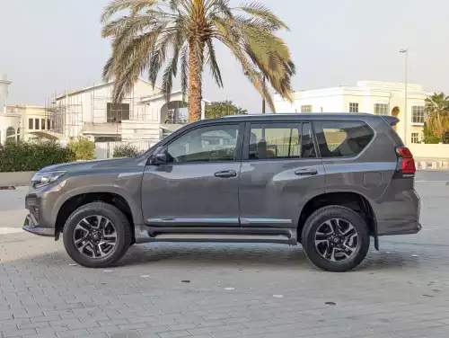 Toyota Prado VX.R 4.0L Petrol 2010 Model Year Gray Color Exterior