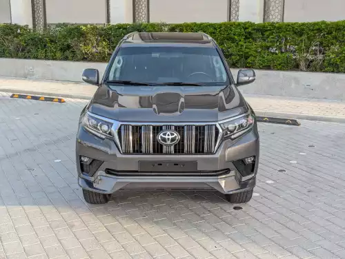 Toyota Prado VX.R 4.0L Petrol 2010 Model Year Gray Color Exterior