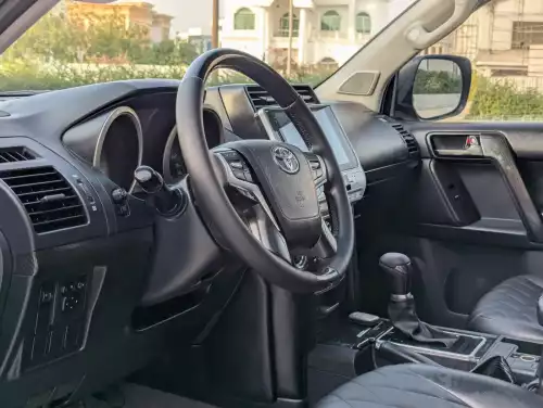 Toyota Prado VX.R 4.0L Petrol 2010 Model Year Gray Color Exterior