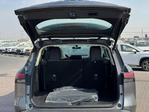 Infiniti QX60 Sensory 3.5L Petrol V6 AWD 2024 Model Grey Color Exterior