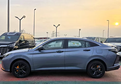 Dongend Shine 1.5L Petrol 2025 Model Year Grey Color Exterior