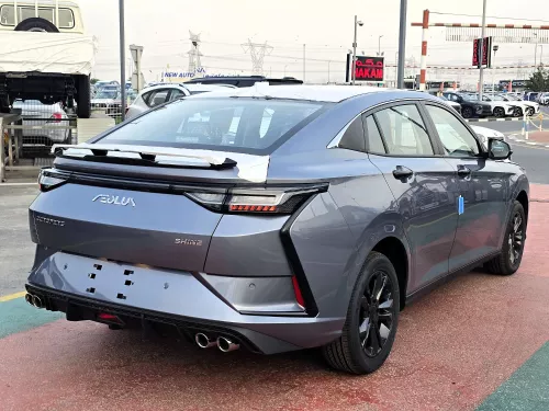 Dongend Shine 1.5L Petrol 2025 Model Year Grey Color Exterior